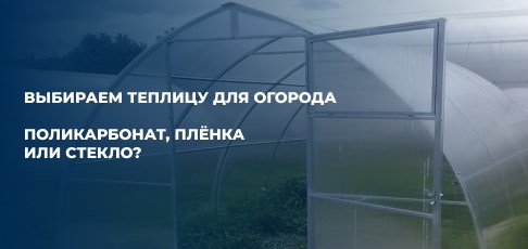 Выбираем теплицу для огорода: поликарбонат, плёнка или стекло? Выбираем теплицу для огорода: поликарбонат, плёнка или стекло?