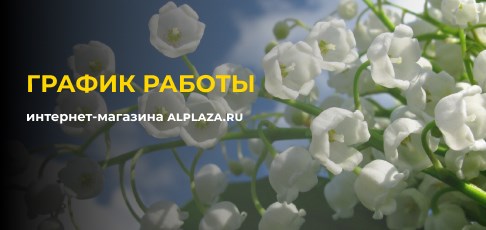 График работы в майские праздники 2025 года График работы в майские праздники 2025 года