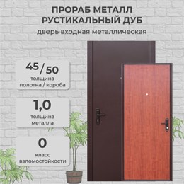 Дверь входная Прораб (СтройГост 5 РФ) Металл/Рустикальный дуб Дверь входная Прораб (СтройГост 5 РФ) Металл/Рустикальный дуб