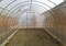 Теплица Дачница Стандарт (Каркас) 6м 9780 Теплица Дачница Стандарт (Каркас) 6м 9780